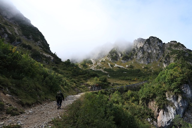 hochfelln-4521455_640