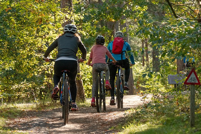 sabinevanerp-bicycles-5661632_640